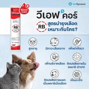VF+Core RB – Súp Thưởng Bổ Máu & Phục Hồi Sinh Lực Cho Chó & Mèo