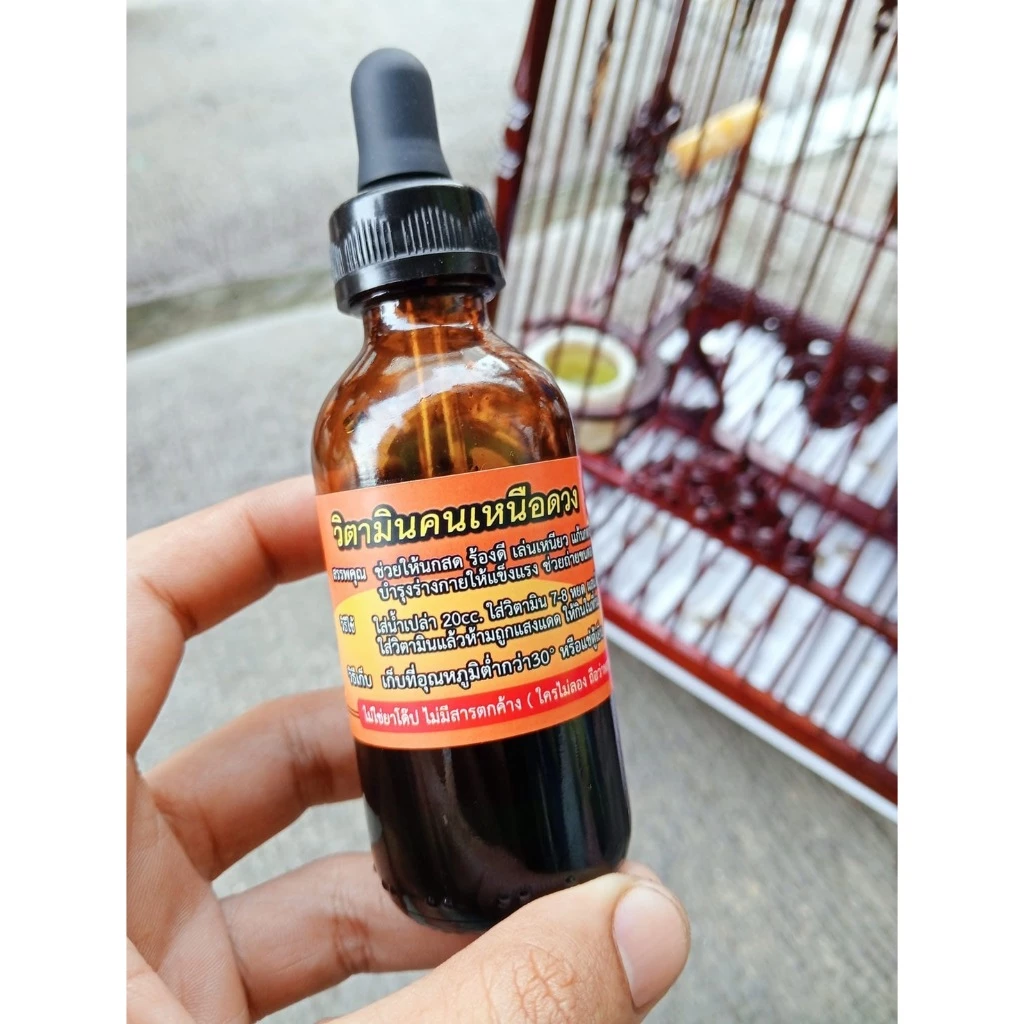 Vitamin cao cấp Khun Nuea Duang (วิตามินคนเหนือดวง), dòng thực phẩm bổ sung dạng nước chuyên dụng tăng cường sinh lực cho chim chào mào và các loài chim hót thi đấu.