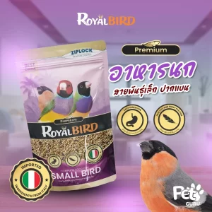 Thức ăn hỗn hợp cao cấp Royal Bird dành cho các giống chim nhỏ mỏ thẳng (Royal Bird Complete Food for Small Bird