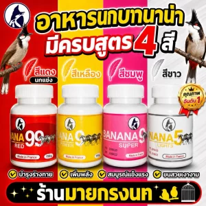 Thức Ăn Chim Chào Mào Cao Cấp Banana – Giải Pháp Đột Phá Đầy Đủ 4 Màu Cho Chiến Binh