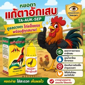 THUỐC NHỎ MẮT TA-AUK-SEP THÁI LAN – MẮT SÁNG TINH ANH, NHÌN ĐÒN CHUẨN XÁC, CHIẾN KÊ BẤT BẠI