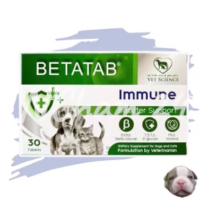 BETATAB® Immune Booster Support (Hộp 30 viên) là dòng thực phẩm bổ sung cao cấp chuyên biệt giúp tăng cường hệ miễn dịch và bảo vệ da lông cho cả chó và mèo