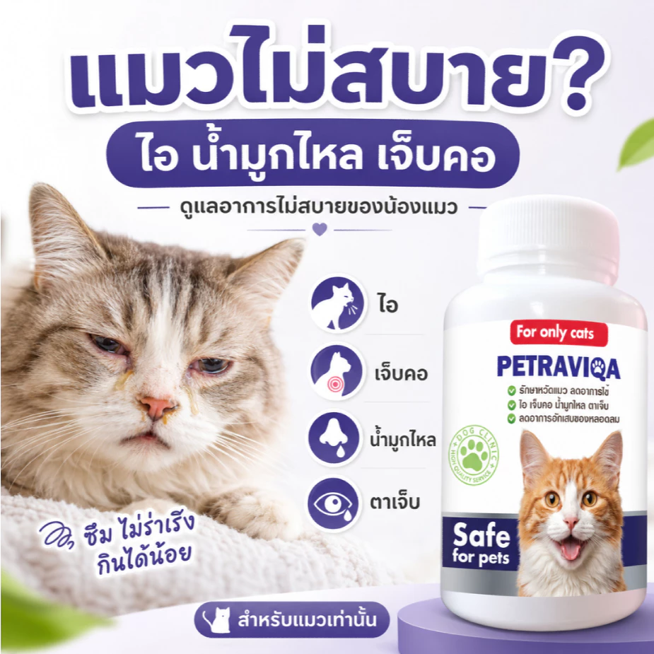 PETRAVIQA For Only Cats là dòng sản phẩm thực phẩm bổ sung chuyên sâu dành riêng cho mèo, giúp hỗ trợ giảm thiểu các triệu chứng cảm cúm, viêm đường hô hấp trên và tăng cường hệ miễn dịch