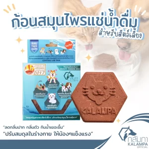 Kalampa Thaiherb Brick (Khối thảo dược ngâm nước uống) là sản phẩm bổ trợ sức khỏe đột phá và sáng tạo dành riêng cho thú cưng (chó, mèo, thỏ...). Được sản xuất 100% từ các nguyên liệu thảo mộc tự nhiên của Thái Lan