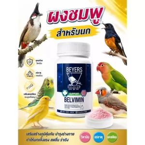 Khoáng bột hồng Beyers Belvimin (thương hiệu nổi tiếng của Bỉ từ năm 1908), một dòng thức ăn bổ sung khoáng chất, vitamin và canxi chuyên dụng cho nhiều loài chim cảnh khác nhau (như chim chào mào, chích chòe, vẹt, yến phụng, chim manh manh và bồ câu).