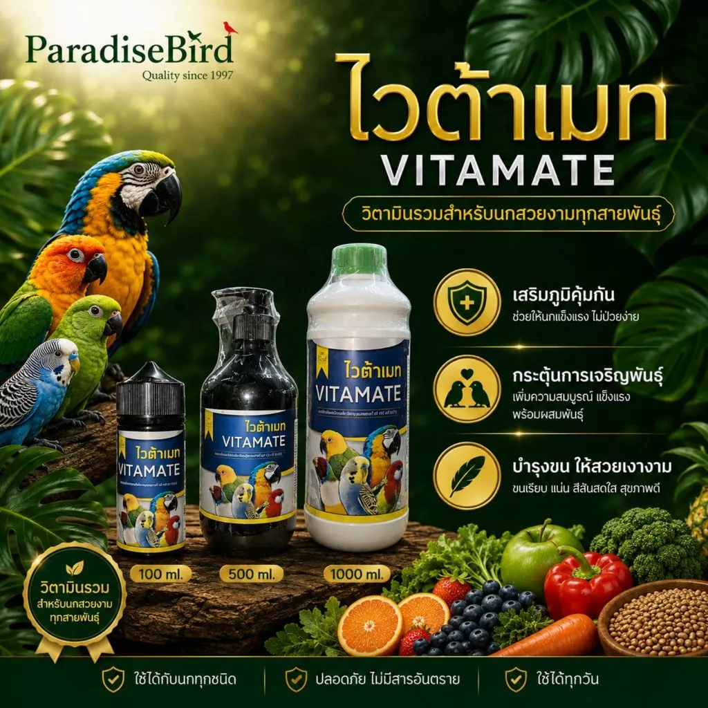 Vitamin tổng hợp cao cấp Vitamate (nhãn hiệu ParadiseBird - Thái Lan), một dòng thực phẩm bổ sung dạng nước chuyên dụng cho mọi loài chim cảnh, đặc biệt là các dòng vẹt, chim hót và chim sinh sản