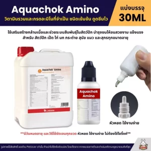 Aquachok Amino (phiên bản chiết chai nhỏ giọt 30ml tiện lợi), một dòng dung dịch bổ sung vitamin tổng hợp và axit amin thiết yếu đậm đặc cao cấp nhập khẩu của hãng Labiana (Tây Ban Nha)