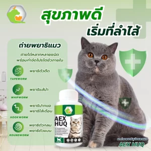 AEX HUQ (For only cats) là dòng sản phẩm thực phẩm bổ sung hỗ trợ tẩy giun toàn diện và bảo vệ sức khỏe đường ruột chuyên biệt dành riêng cho mèo